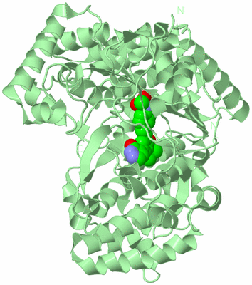 Image Biological Unit 2