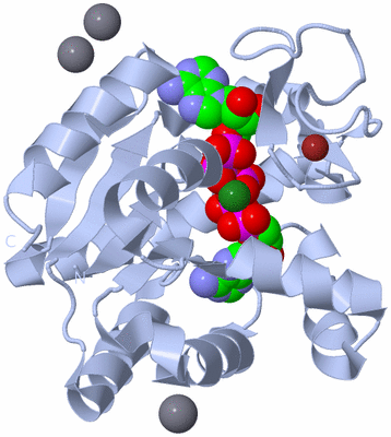 Image Biological Unit 1