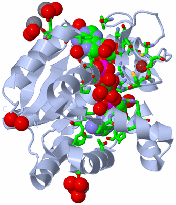 Image Biol. Unit 1 - sites