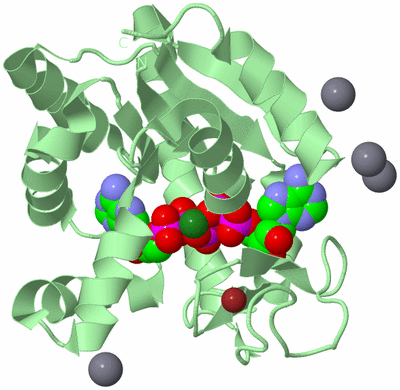 Image Biological Unit 2