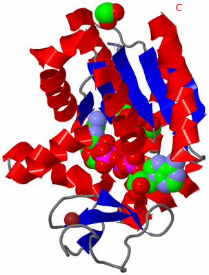 Image Asym./Biol. Unit