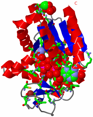 Image Asym./Biol. Unit - sites