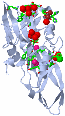 Image Biol. Unit 1 - sites