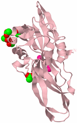 Image Biological Unit 3