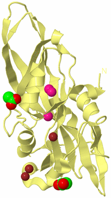 Image Biological Unit 4