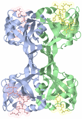 Image Biological Unit 1