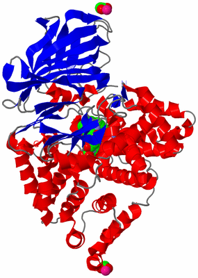 Image Asym./Biol. Unit