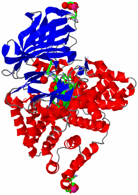 Image Asym./Biol. Unit - sites