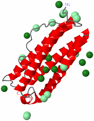 Image Asymmetric Unit