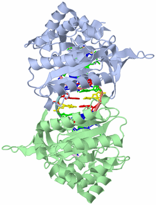 Image Biological Unit 1