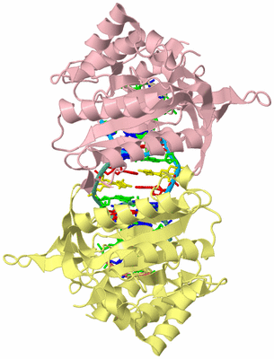 Image Biological Unit 2