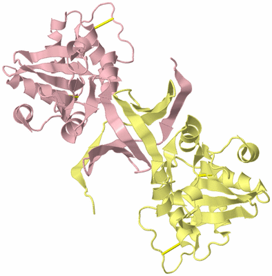 Image Biological Unit 2