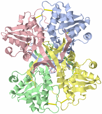 Image Biological Unit 3