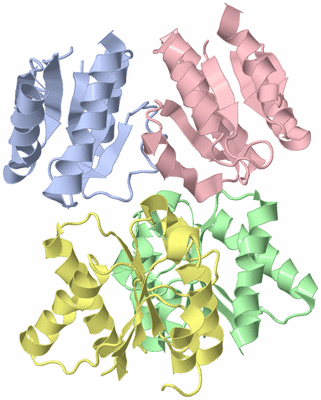 Image Asymmetric Unit