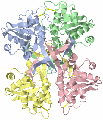 Image Biological Unit 3