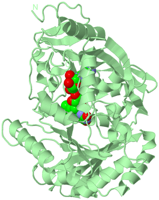 Image Biological Unit 2