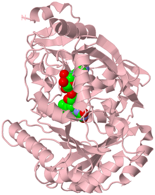 Image Biological Unit 3