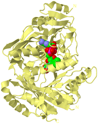 Image Biological Unit 4