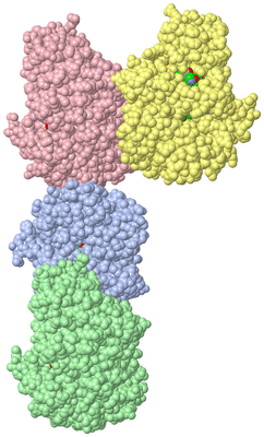 Image Asym. Unit - sites