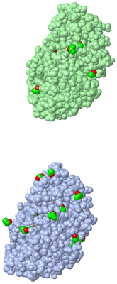 Image Asymmetric Unit