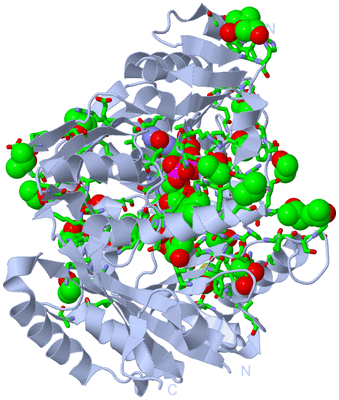 Image Biol. Unit 1 - sites