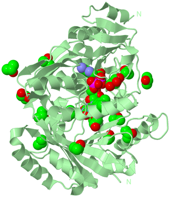 Image Biological Unit 2