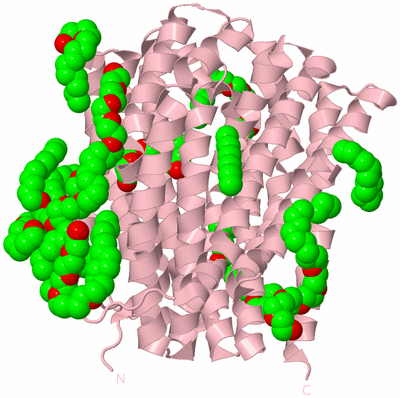 Image Biological Unit 3