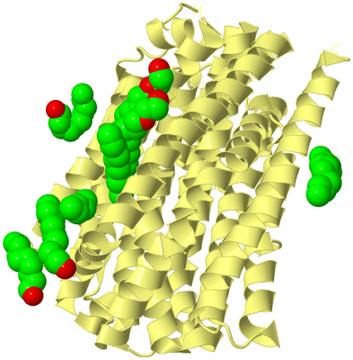 Image Biological Unit 4