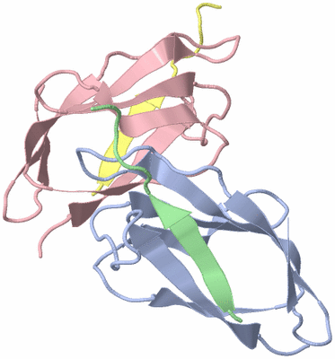 Image Asymmetric Unit