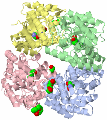 Image Asym./Biol. Unit