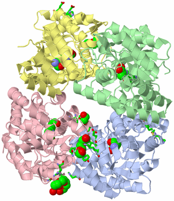 Image Asym./Biol. Unit - sites