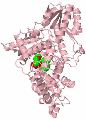 Image Biological Unit 1