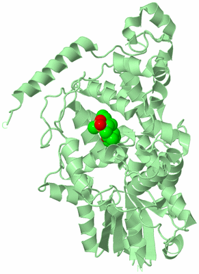 Image Biological Unit 3