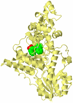 Image Biological Unit 4