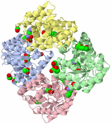 Image Biological Unit 1