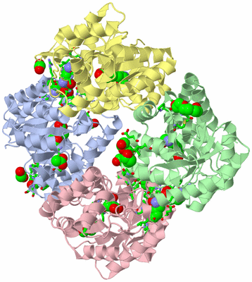 Image Biol. Unit 1 - sites