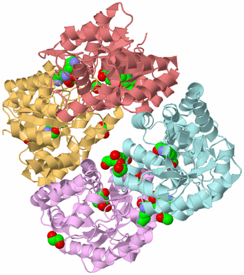 Image Biological Unit 2