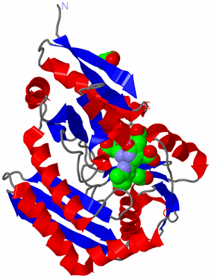 Image Asym./Biol. Unit