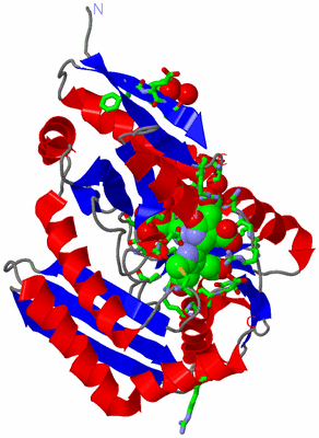 Image Asym./Biol. Unit - sites