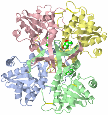 Image Biological Unit 3