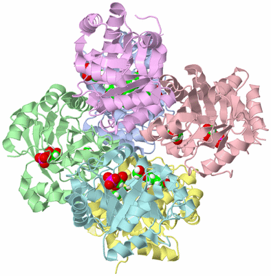 Image Biological Unit 1