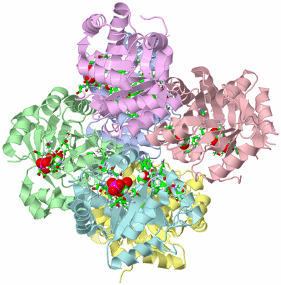 Image Biol. Unit 1 - sites