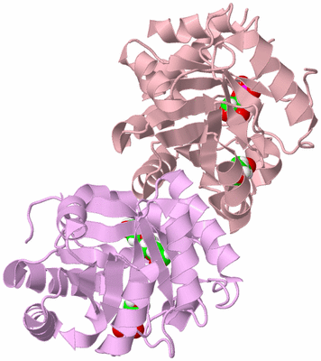 Image Biological Unit 3