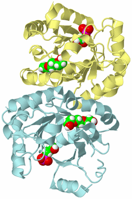 Image Biological Unit 4