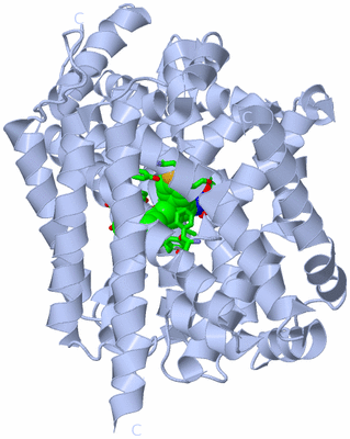 Image Biol. Unit 1 - sites