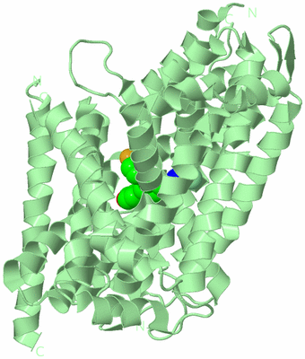 Image Biological Unit 2