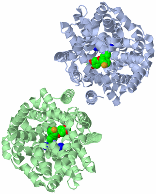 Image Biological Unit 3