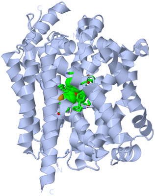 Image Biol. Unit 1 - sites