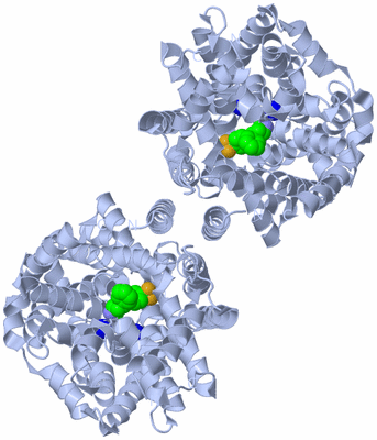 Image Biological Unit 2