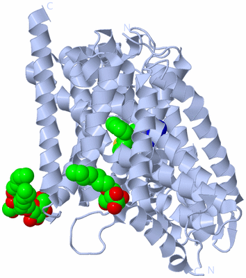 Image Biological Unit 1